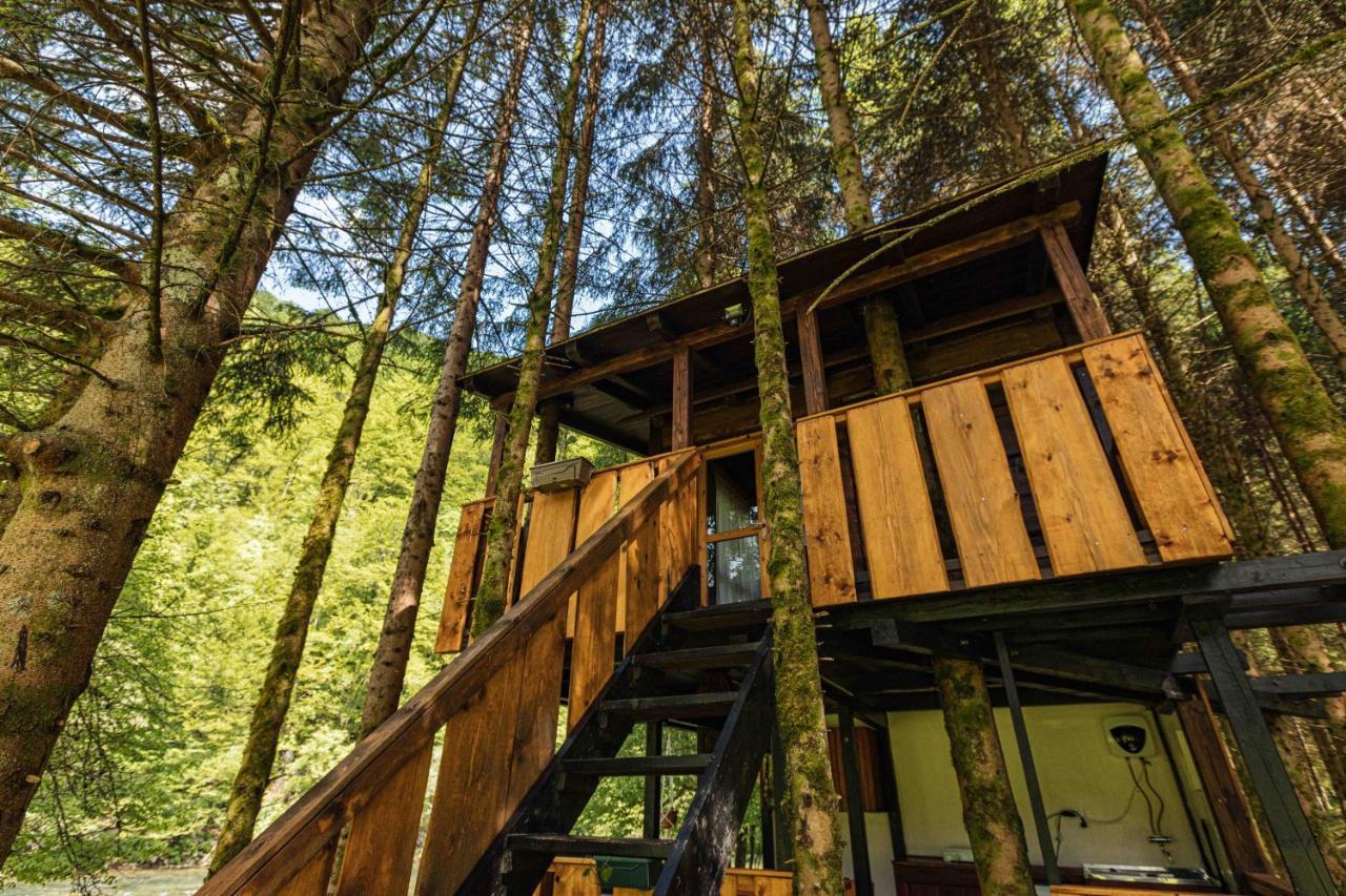 Treehouse Kupari Nacionalni Park Risnjak Cabar Exteriér fotografie