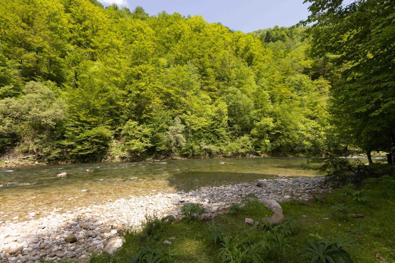 Treehouse Kupari Nacionalni Park Risnjak Cabar Exteriér fotografie